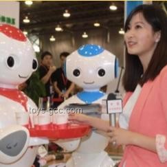 人形机器人现阶段最大痛点解析及应对策略